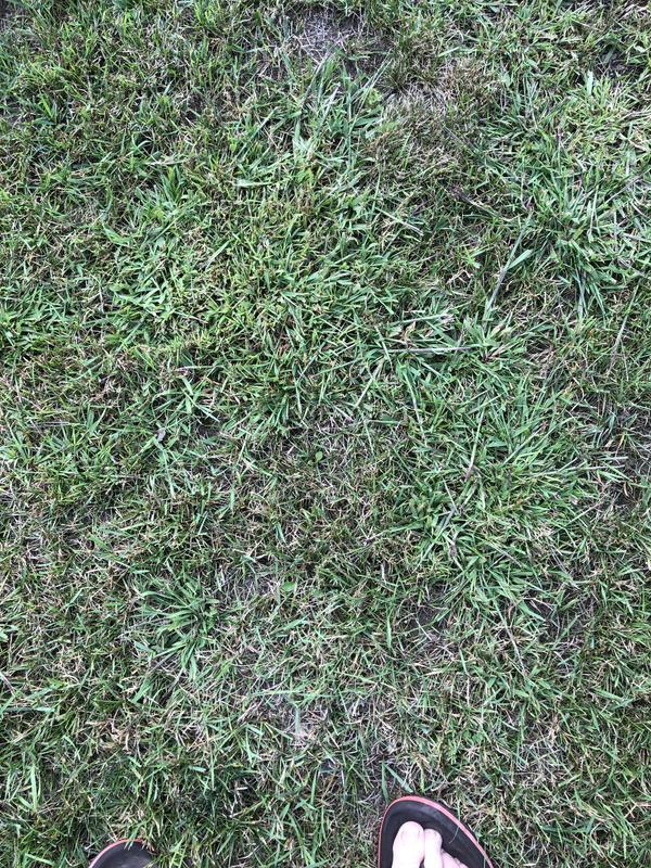 This is the side and f