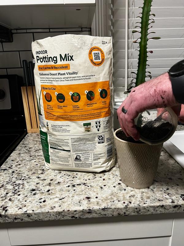 Miracle-Gro Succulent Potting Mix | ScottsMiracle-Gro US