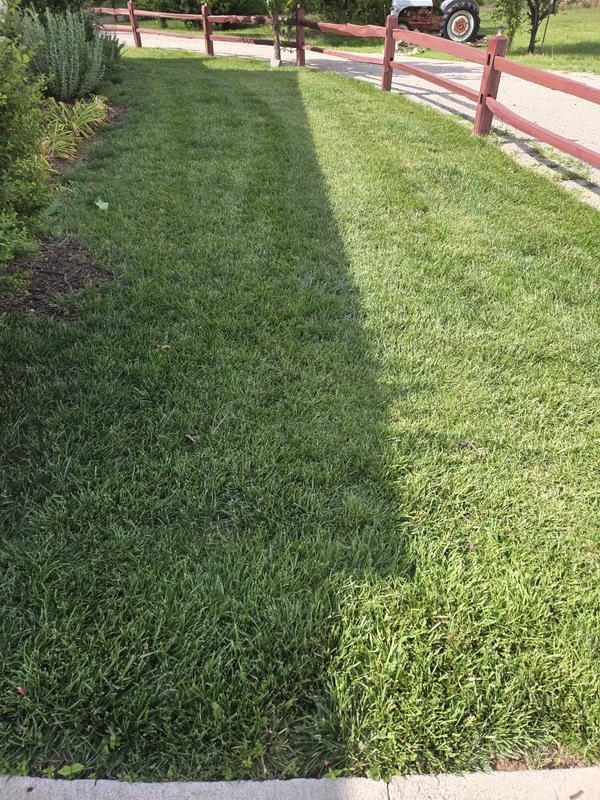 Photo - commentaire&nbsp;7.