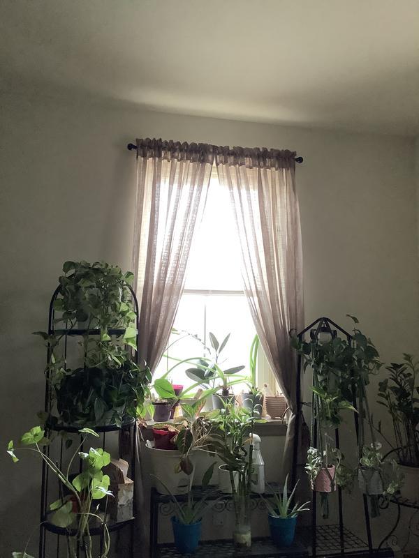 Photo - commentaire&nbsp;8.