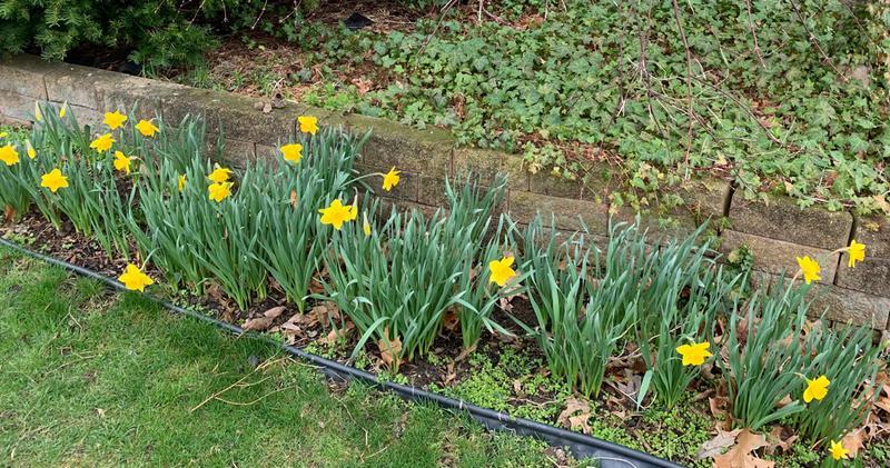 Best show in a number of years!