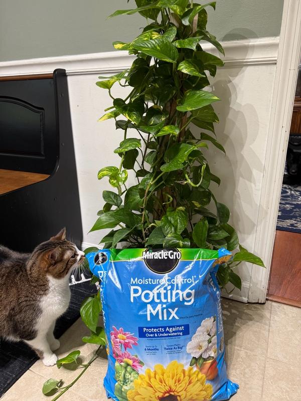 Have a question about Miracle-Gro Moisture Control Potting Mix Soil 50 qt.  For Container Plants, Protects Against Over- and Under-Watering? - Pg 2 -  The Home Depot