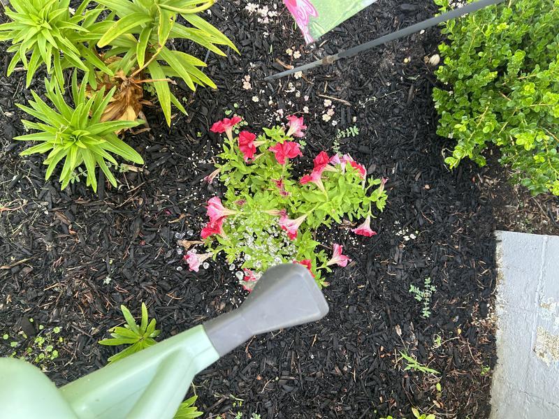 Shake & water that’s it