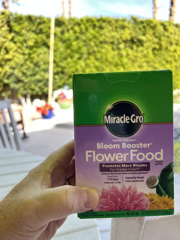 Photo - commentaire&nbsp;1.