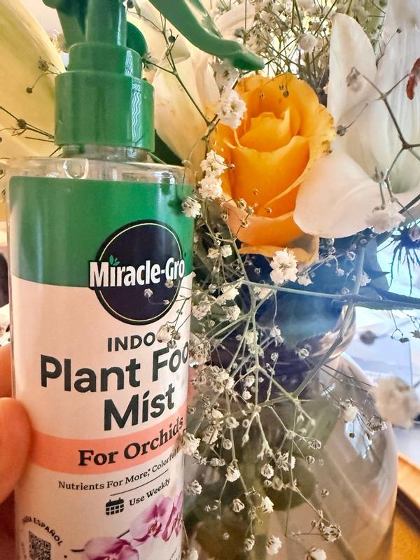 Miracle-Gro® Ready-To-Use Orchid Plant Food Mist | ScottsMiracle