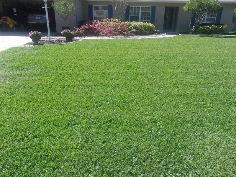 This was before using Green Max