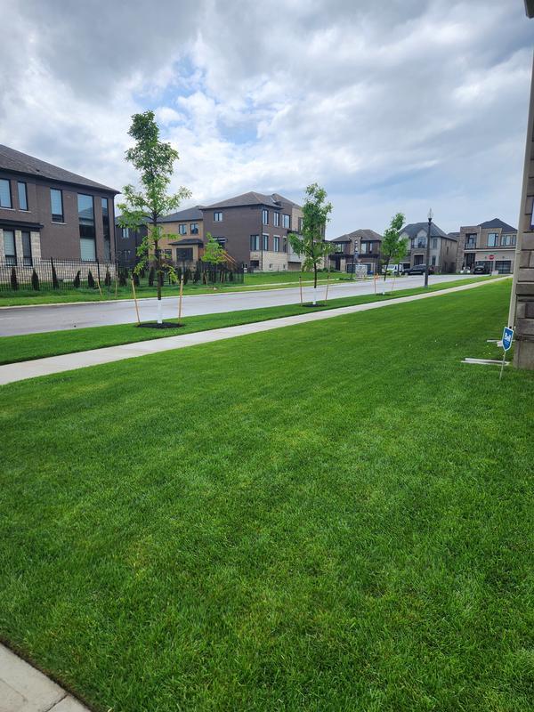 Photo - commentaire&nbsp;2.