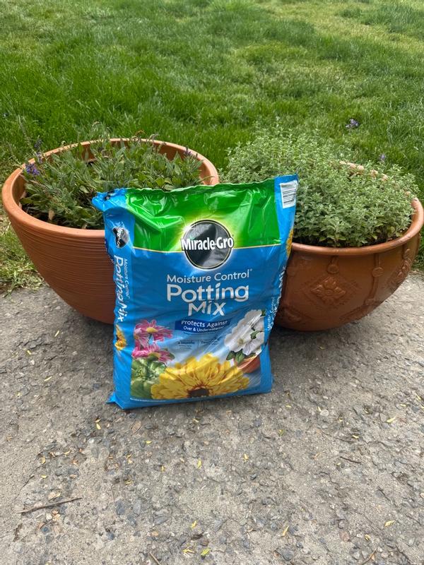 peat free potting mix Soil Free Potting Mix