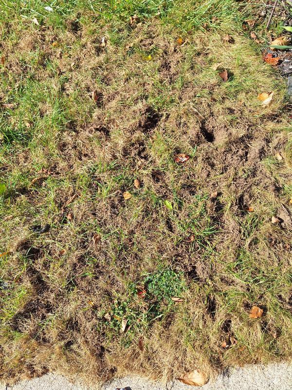 Photo - commentaire&nbsp;7.