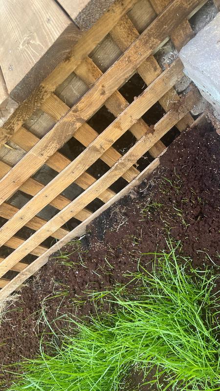 This is on the 5th day