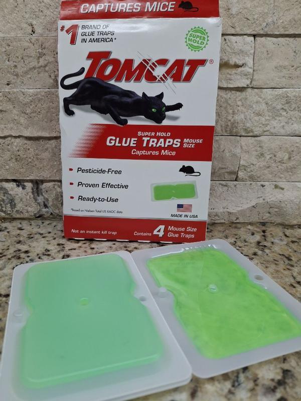 Tomcat Super Hold Glue Traps – Mouse Size, Ready-to-Use, Indoor & Outdoor