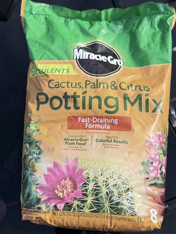 10 inch pots for plants with drainage Succulent Pots with Drainage 10 inch