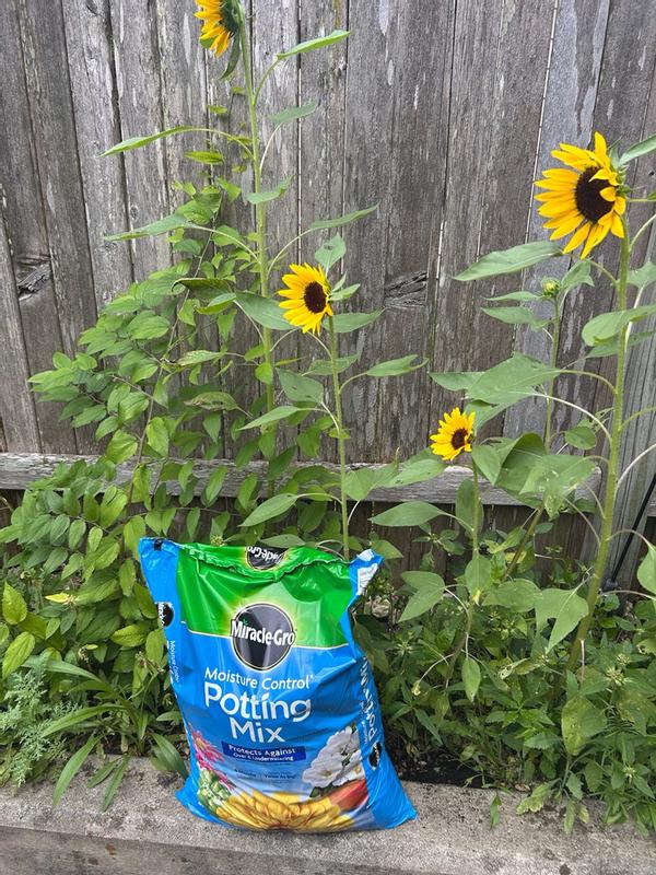 Miracle-Gro Moisture Control Potting Mix | ScottsMiracle-Gro US