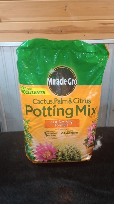 large black ceramic flower pots 20