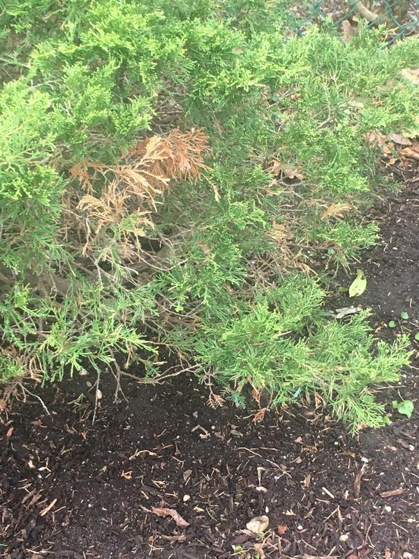 Photo - commentaire&nbsp;3.