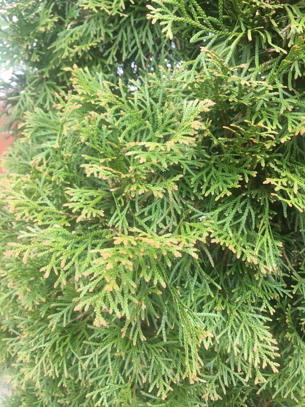 Photo - commentaire&nbsp;5.