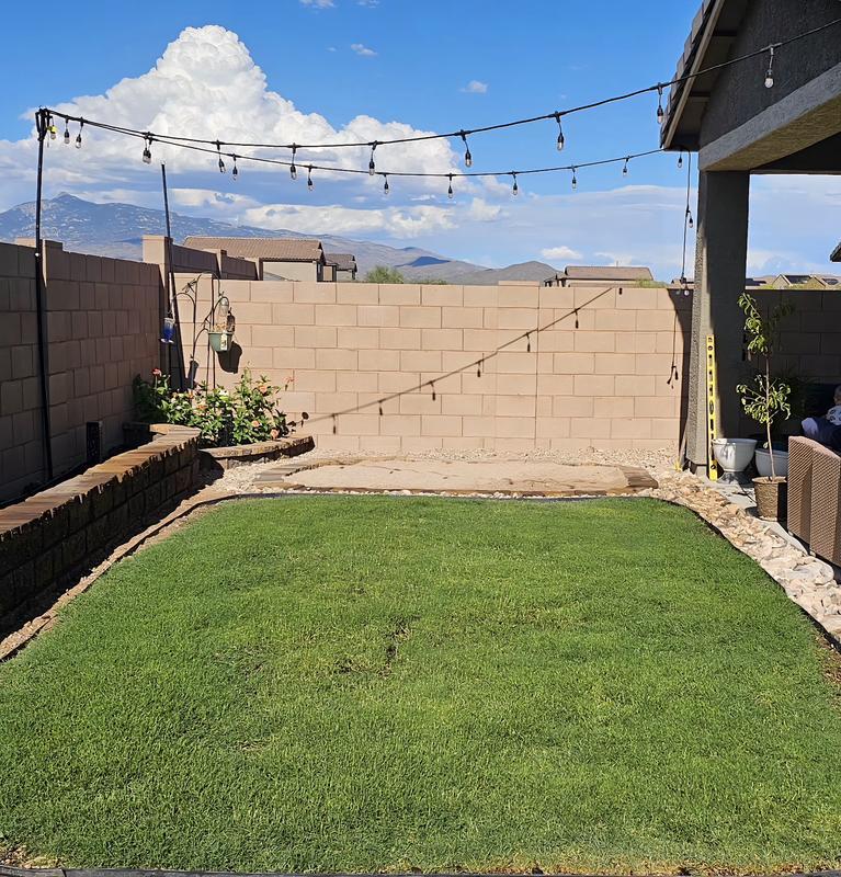 May 6 through July 6