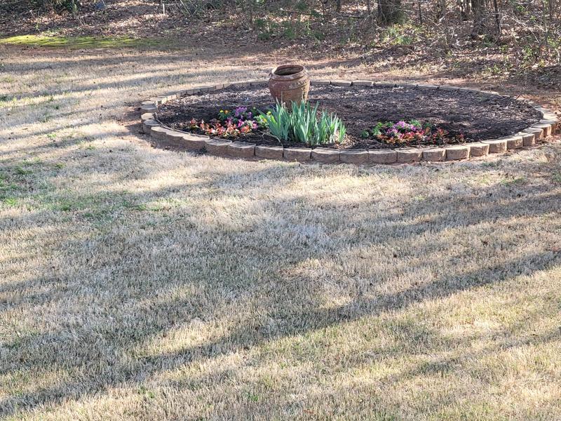 Before Miracle-Gro® Performance Organics