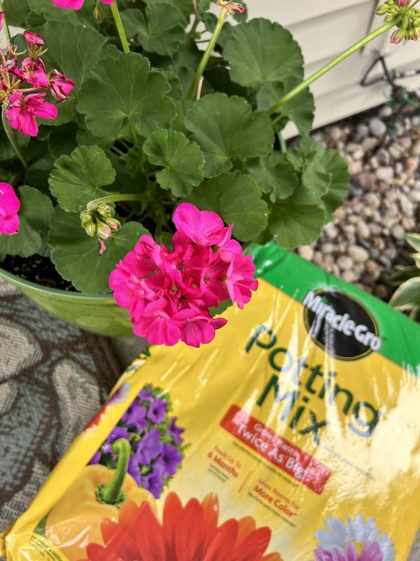 Miracle-Gro Potting Mix Soil 16 qt. For Container Plants, Flowers,  Vegetables, Shrubs, Feeds up to 6 Months (2-Pack) VB00009 - The Home Depot