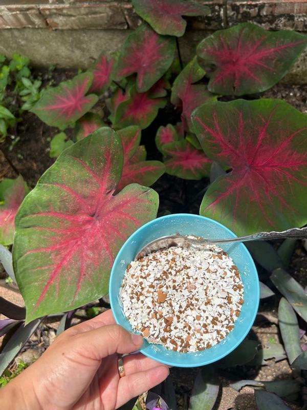 Miracle-Gro Organic™ All Natural Mulch | ScottsMiracle-Gro US