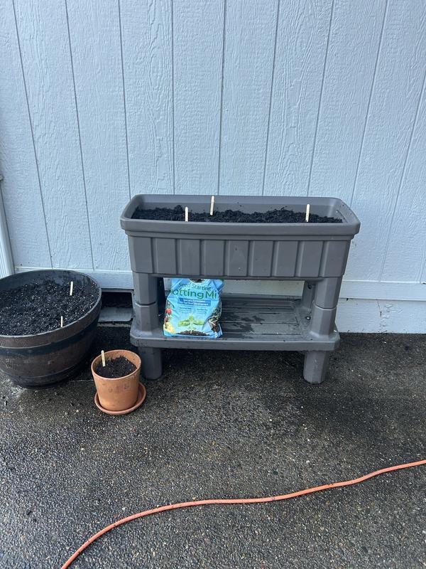 Photo - commentaire&nbsp;7.