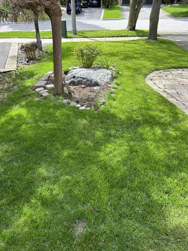 Photo - commentaire&nbsp;1.