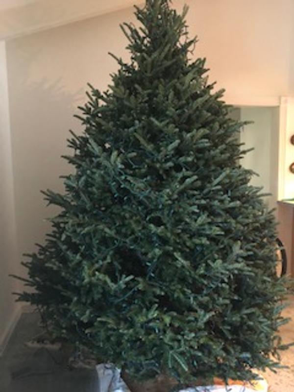 Photo - commentaire&nbsp;6.