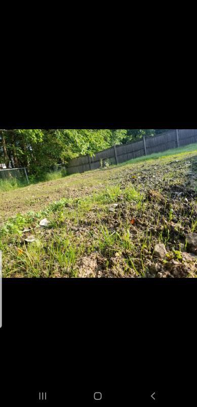 Day 10 of adding grass seed