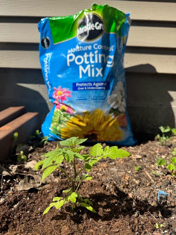 Miracle-Gro Moisture Control Potting Mix | ScottsMiracle-Gro US