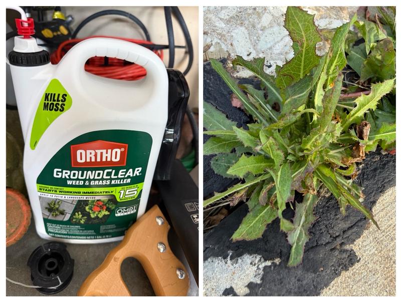 Ortho® GroundClear® Weed & Grass Killer with Comfort Wand