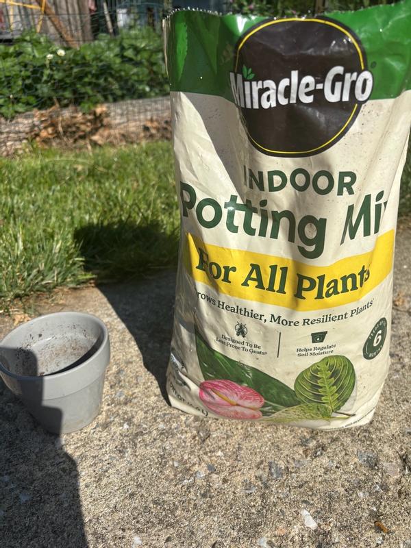 Miracle-Gro Indoor Potting Mix | ScottsMiracle-Gro US