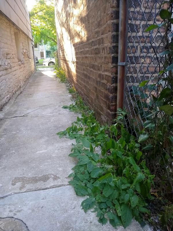 Works quick! 30 minutes later.