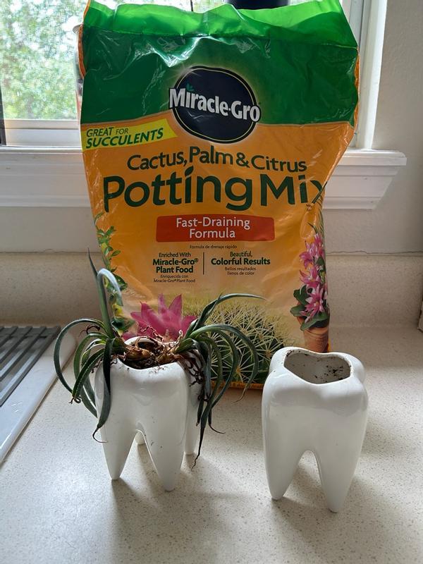 Miracle-Gro Indoor Potting Mix for Cactus & Succulent, 8 QT - 73078430 |  Blain's Farm & Fleet