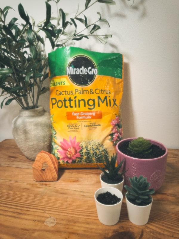 Miracle-Gro Indoor Potting Mix for Cactus & Succulent, 8 QT - 73078430 |  Blain's Farm & Fleet