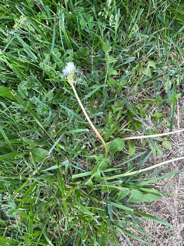 Review photo 5.