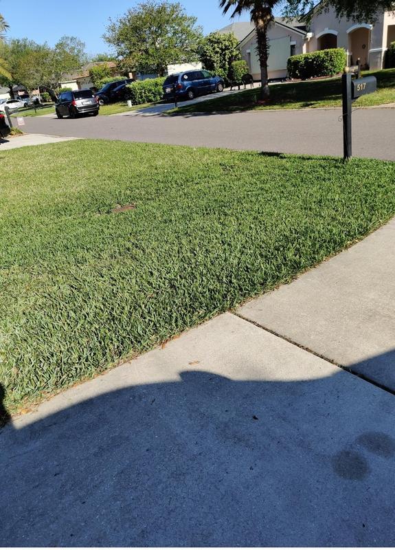 Note neighbors light green grass