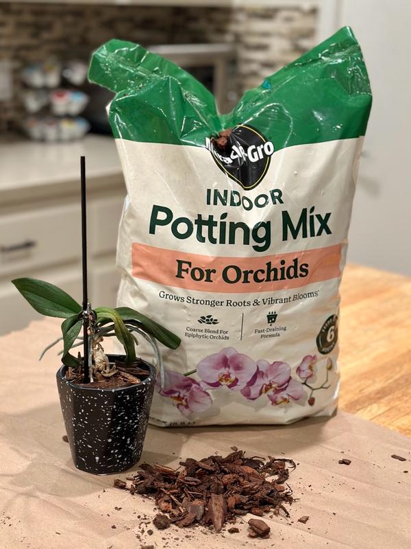 食品 plant Miracle-Gro Orchid Potting Mix