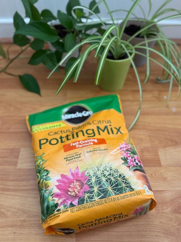 Miracle-Gro Cactus, Palm & Citrus Potting Mix | ScottsMiracle-Gro US