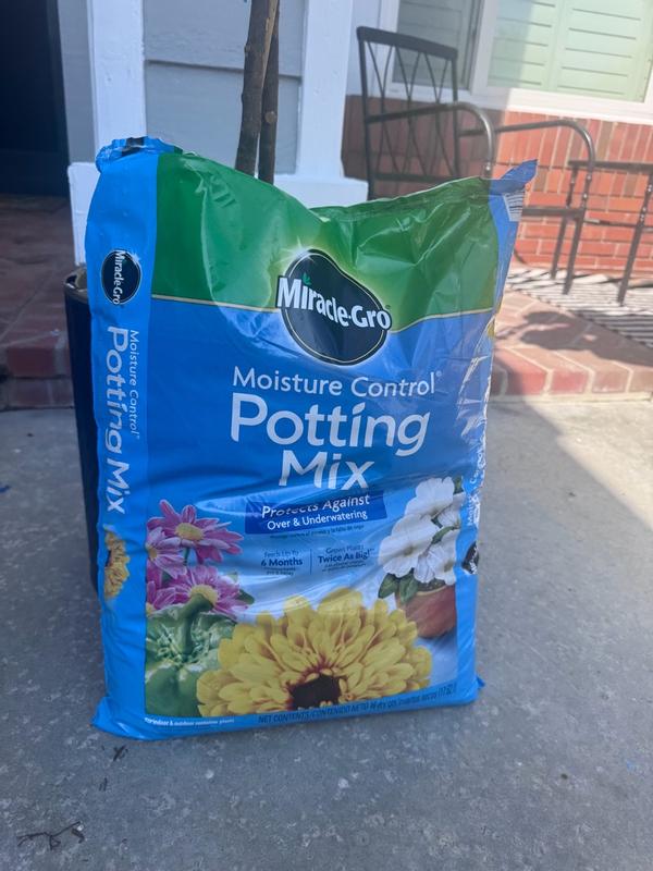hanging garden plants 18