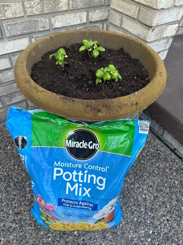 Miracle Gro Moisture Control Potting Mix
