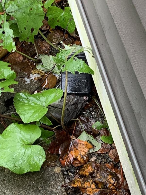 Photo - commentaire&nbsp;8.