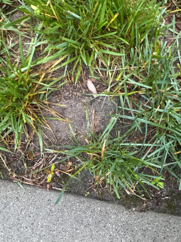 Review photo 6.
