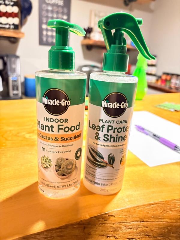 Miracle-Gro Succulent Plant Food | ScottsMiracle-Gro US