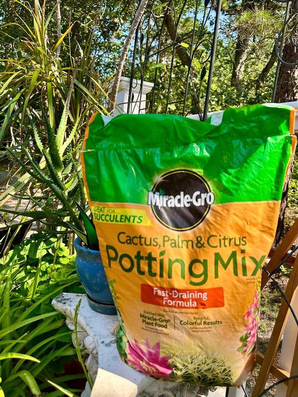Miracle-Gro Indoor Potting Mix for Cactus & Succulent, 8 QT - 73078430 |  Blain's Farm & Fleet