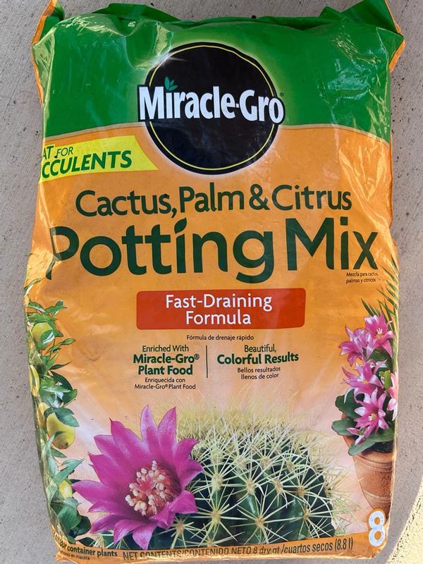 order air plants online Buy Air Plant Fertilizer for Sale | Air Plant Food main image 0