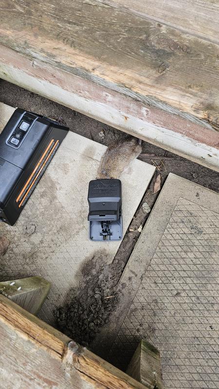 Photo - commentaire&nbsp;7.