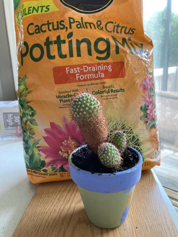 Miracle-Gro Cactus, Palm & Citrus Potting Mix | ScottsMiracle-Gro US
