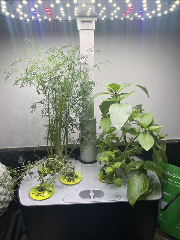 3 weeks since I started