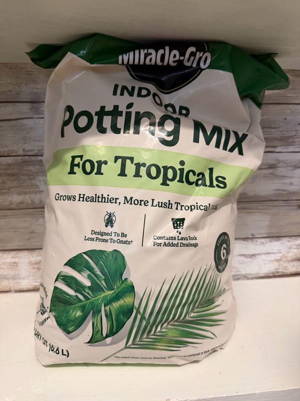 Miracle-Gro Tropical Potting Mix | ScottsMiracle-Gro US