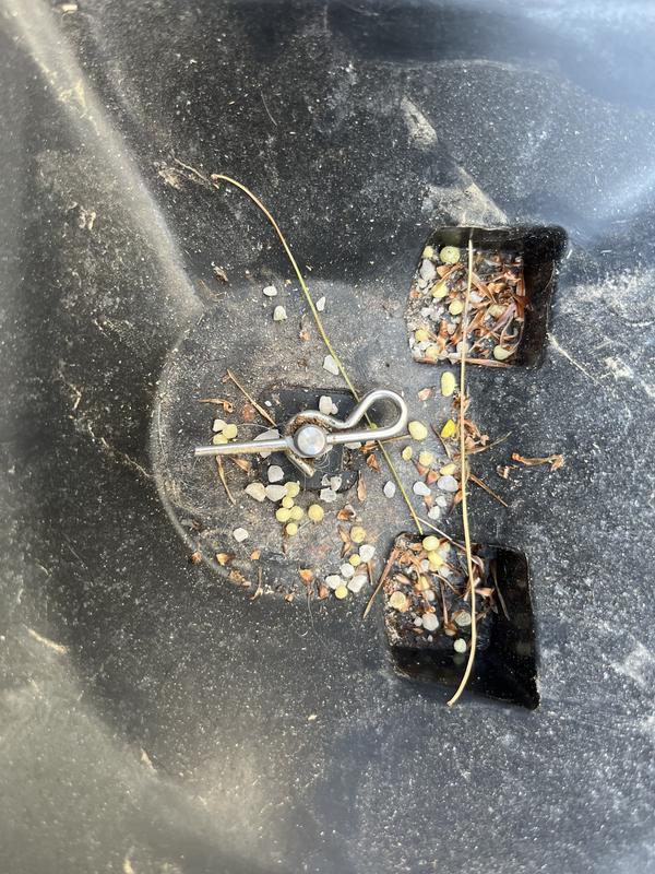 This is the pin I need, the second one is missing.